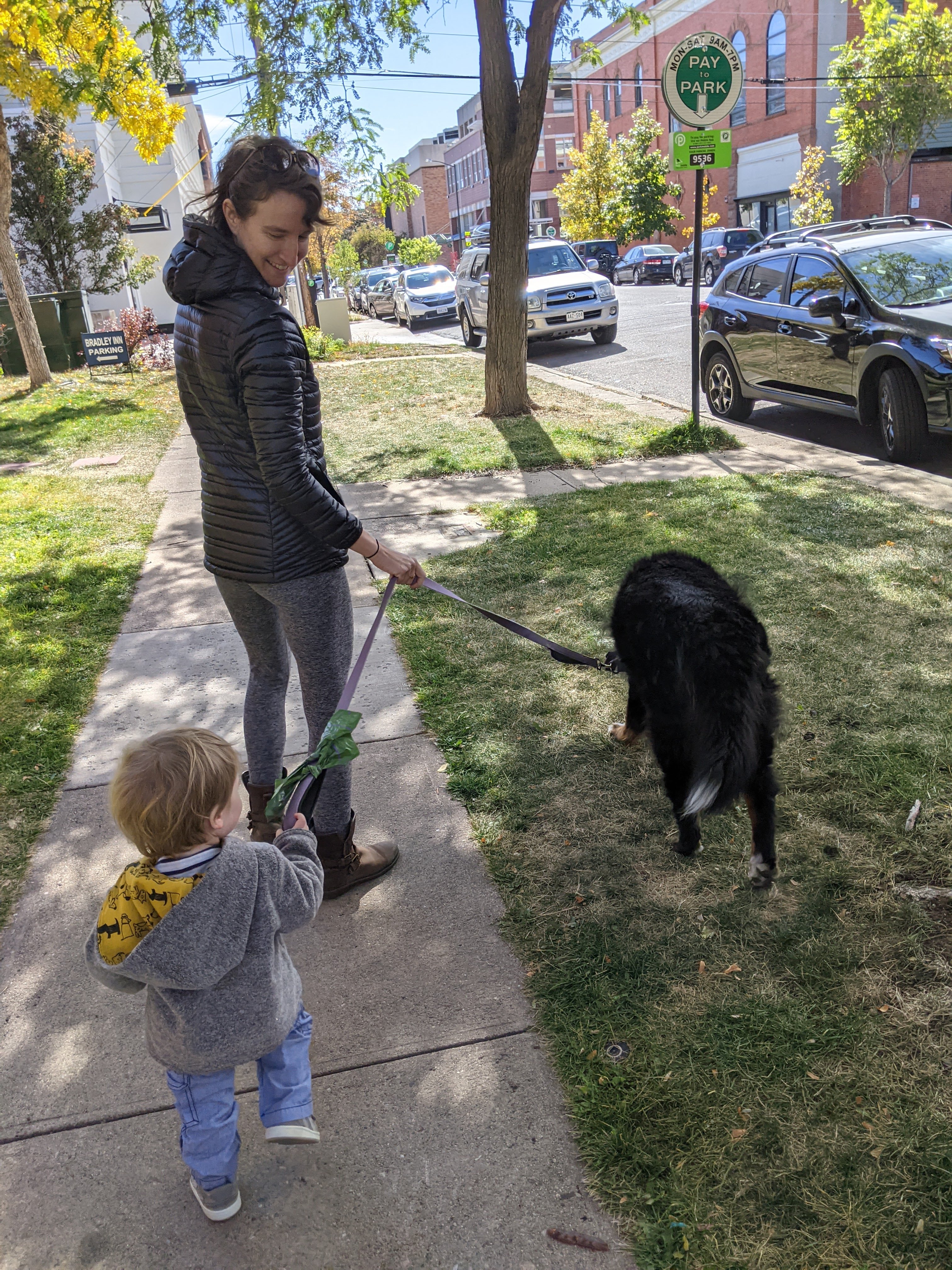 A young child sharing a tender moment with a grey tabby kitten